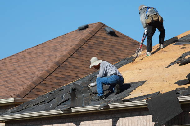 Best Asphalt Shingles Roofing  in Ntgomery City, MO